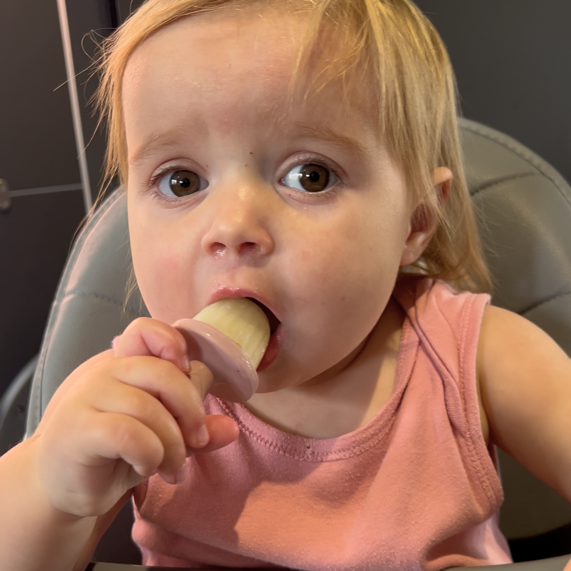 Silicone Ice Pop Mould Tray