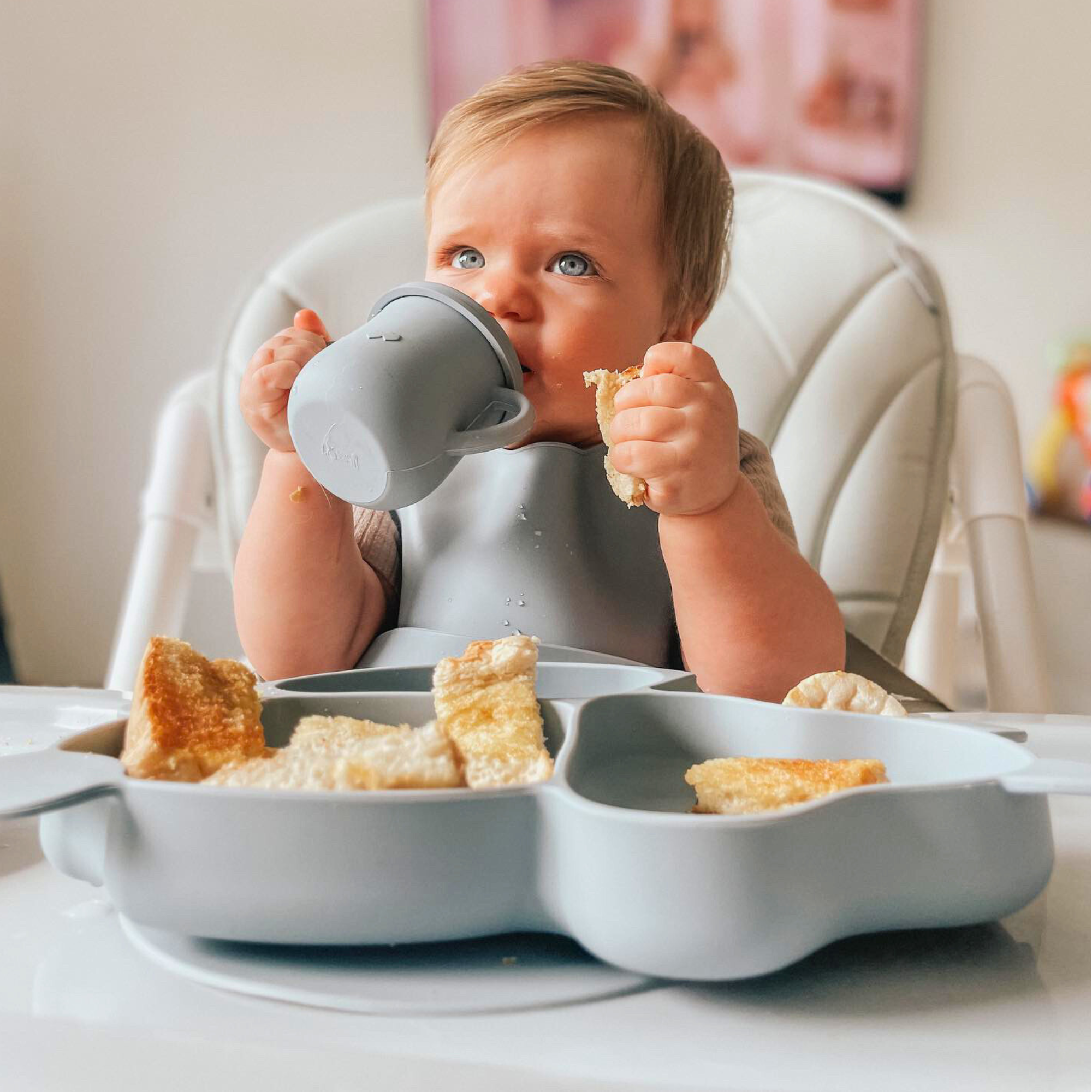 Starter Weaning Sets